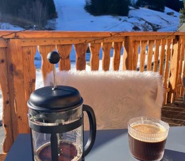 Station de Drouzin le Mont Ski Chalet | Chalet Carre