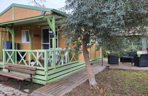 Sorbo-Ocagnano Ski Chalet | Chalet climatisé avec patio en Haute Corse 5 couchages