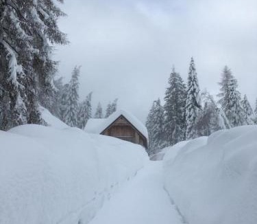 Sutrio Ski Chalet | Chalet Corone Monte Zoncolan