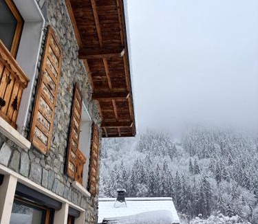 Chamonix City Centre Apartment | Chalet d'Honneur