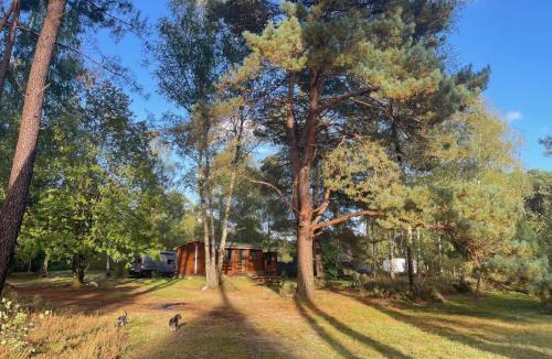 Parigne-lʼEveque Apartment | Chalet dans les bois