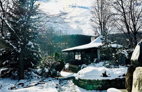 Dobreni Cabin | Chalet d’Argent 3-bedroom cabin in lovely Dobreni with a magic garden and pool
