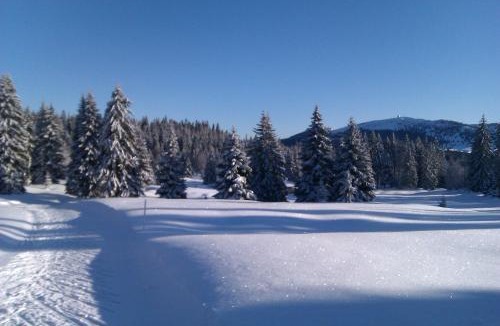 Premanon Ski Chalet | Chalet Daria