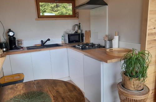 Champclause Ski Chalet | Chalet de l'Abondance