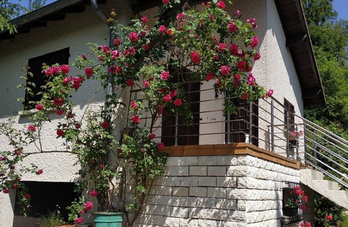 Puttelange-aux-Lacs Ski Chalet | Chalet "Diff "150m from the lake, private garden and Wi-Fi