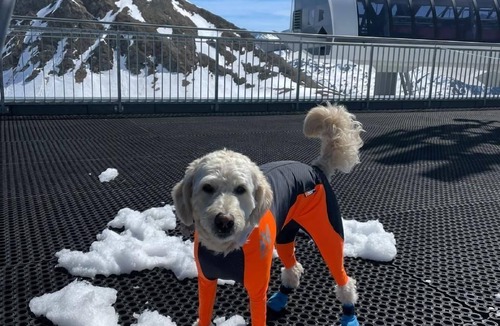 Mols Ski Chalet | Chalet "Doodle's Chalet" with sauna