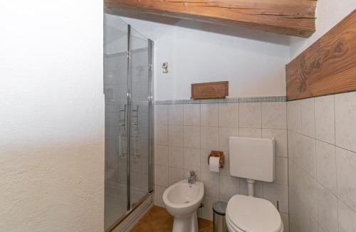 Valle d'Aosta Ski Chalet | Chalet Monte Emilius
