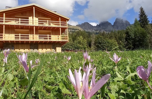 Falcade Apartment | Chalet on the meadows