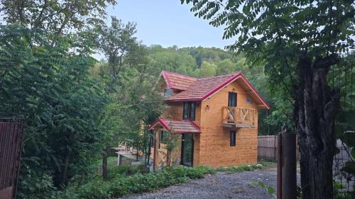 Visinesti Villa | Chalet Panoramic Maluri