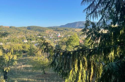Copalnic-Manastur Ski Chalet | Chalet Pia