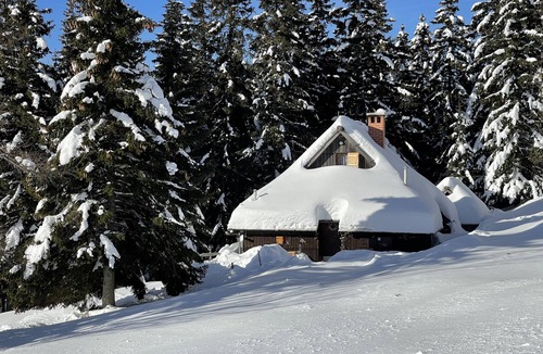 Kamnik Ski Chalet | chalet Pinja - Velika planina