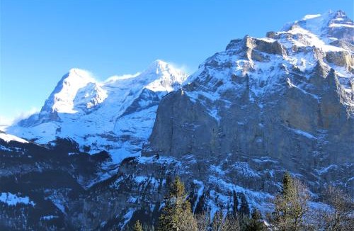 Murren Apartment | Chalet Raufthubel
