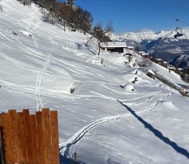 Vex Ski Chalet | Chalet , Thyon Les Collons, 4 Vallées