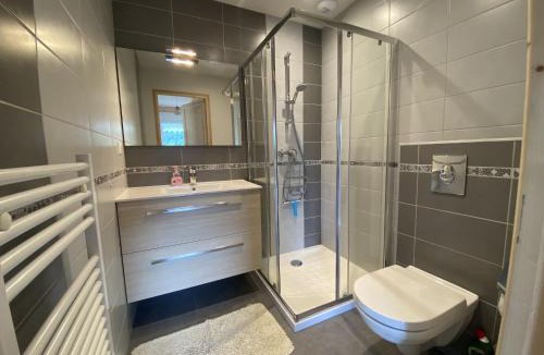 Laveissiere Ski Chalet | Chalet triplex 6B