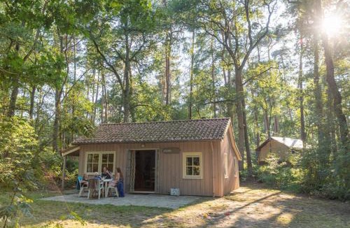 Beerze Other | Chalets De Roos
