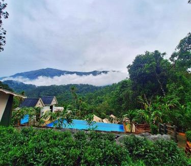 Anachal Resort | Chalona Hill View