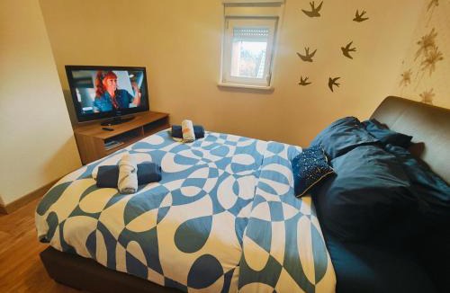 Saint-Louis Hostel | Chambre climatisée cosy Auberge du Manala Hôtel 24-24