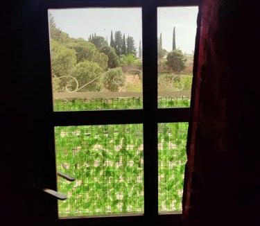 Midelt Bed & Breakfast | Chambre d'hôte