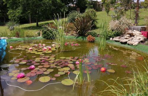Saint-Martin-les-Melle Bed & Breakfast | Chambre d'hôtes Les Nénuphars