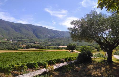 Saint-Martin-de-Castillon Bed & Breakfast | Chambre d'Hôte du Jas