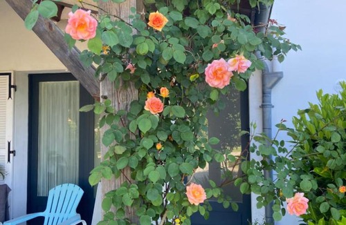 Saint-Morillon Bed & Breakfast | Chambres d'Elisa