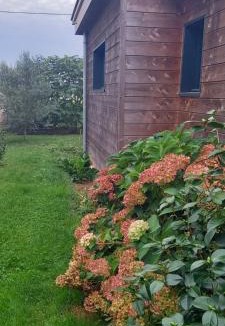 Notre-Dame-d'Allencon Bed & Breakfast | Chambres d'hôtes de Cécile