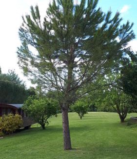 Cliousclat Bed & Breakfast | Chambres d'hôtes La Chabrière