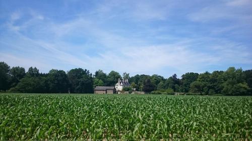 Miniac-Morvan Bed & Breakfast | Chambres d'Hôtes Launay Guibert