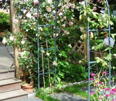 Oree d'Anjou Bed & Breakfast | Chambres d'Hôtes Vignes et Loire