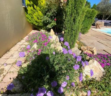 Limas Bed & Breakfast | Chambres dans villa avec piscine