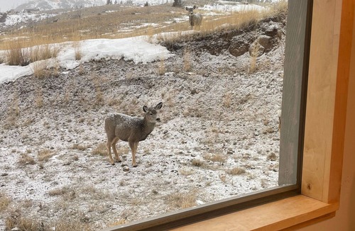Emigrant House | Change in Altitudes 3 bed, 2.5 bath lux house on 20 acres near Yellowstone