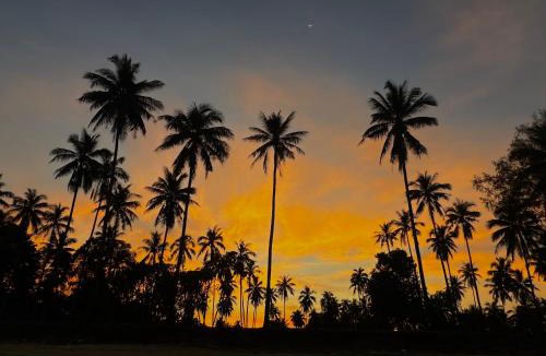 Tha Sala Resort | Chansi Beachresort