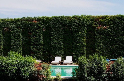 Menerbes House | Charm in Luberon