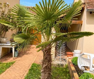 Chenou Apartment | Charmant studio avec terrasse à Chenou, 20 m²
