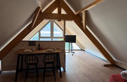 Kintzheim Apartment | Charmant studio climatisé Kintzheim