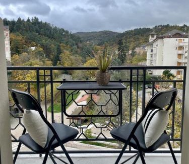 Chatel-Guyon Apartment | Charmant studio, séjour paisible