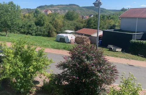Zellingen Apartment | Charmante Wohnung mit eigenem Garten in der Nähe Würzburg