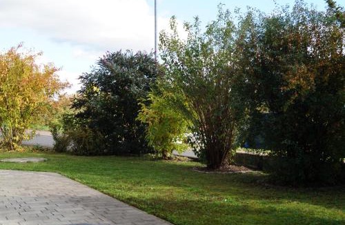 Zellingen Apartment | Charmante Wohnung mit eigenem Garten in der Nähe Würzburg