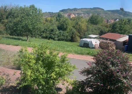 Zellingen Apartment | Charmante Wohnung mit eigenem Garten in der Nähe Würzburg