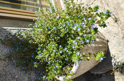 Corniglio House | Charme a Corniglio