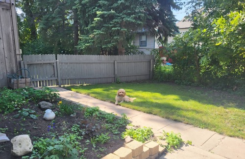 Devils Lake House | Charmer on 4th · 3BR/2BA · Downtown · Fire Pit · Fenced Yard · Enclosed Porch