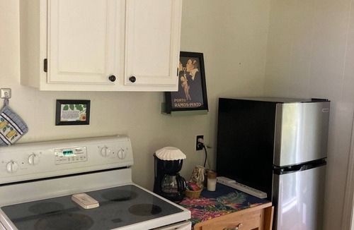 Waldport House | Charming 1-bedroom house surrounded by trees just outside tranquil Waldport
