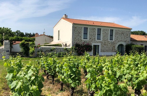 Chateau-Thebaud Cottage | Charming 15th-Century Cottage in Vineyard with Terrace, Bikes & EV Charging