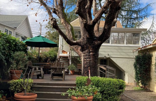 St. Helena Cottage | Charming 1920's cottage in St. Helena - walk to town