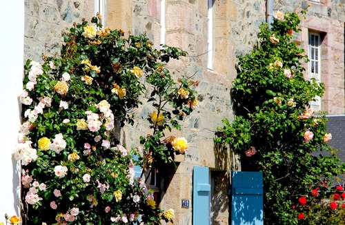 Pleneuf-Val-Andre House | Charming 19th century house on the port of Dahouet (3 *)