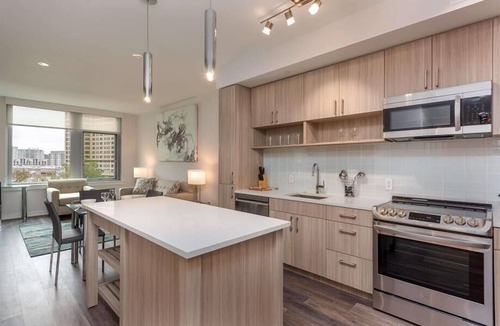 Reston Apartment | Charming 1BR in the heart of RTC | Mins to Airport