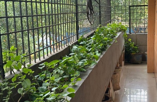 MVP Colony Apartment | Charming 2-bedroom apartment with WiFi, AC in serene Visakhapatnam Beach