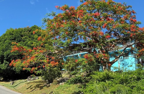 Rosendal Apartment | Charming 2-bedroom apartment in St Thomas, central location, close to beaches.