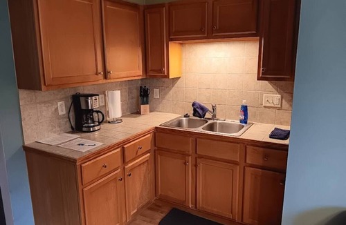 Ellis Historical District Condo | Charming 2-bedroom condo with WiFi, AC in quaint Sheboygan