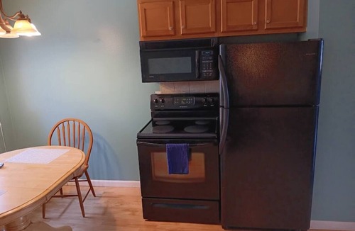 Ellis Historical District Condo | Charming 2-bedroom condo with WiFi, AC in quaint Sheboygan